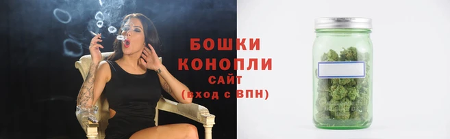 стафф Ельня
