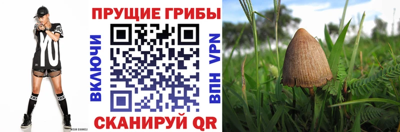 Галлюциногенные грибы MAGIC MUSHROOMS  Протвино 