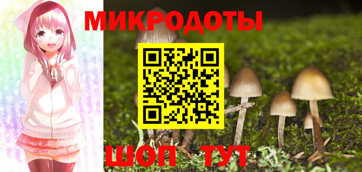 Протвино  Псилоцибиновые грибы прущие грибы  Вход с VPN  Псилоцибиновые грибы мухоморы 